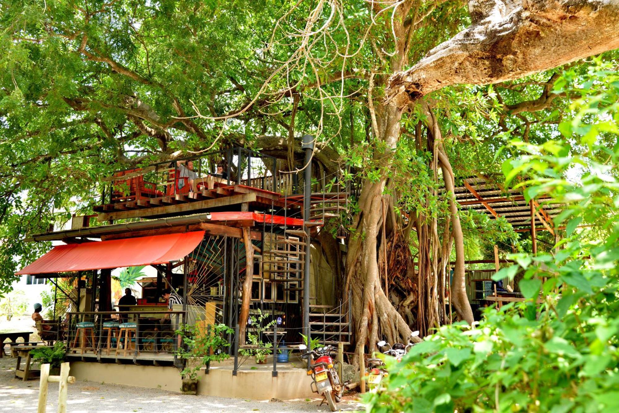 Mnarani Beach Club Kilifi Ngoại thất bức ảnh